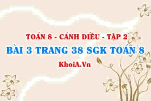 Bài 3 trang 38 Toán 8 Cánh Diều Tập 2
